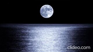 #nature  ???????? Calm ocean at night / dark screen ocean waves / ocean waves black screen