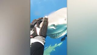 Incredible Moments Caught on Camera