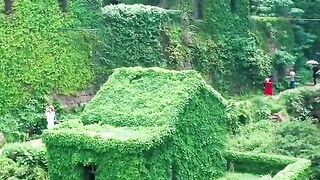 Nature beauty
