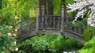 Beautiful Water flow