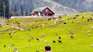 Beautiful and amazing view