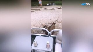 RAMS AND GOATS ARE ATTACKING! ANIMALS ATTACK PEOPLE