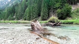 So Beautiful Nature Video ????????