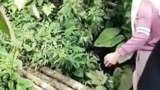 Funny video