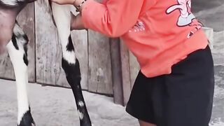 Funny video #3 3