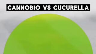 😂🔥 ¡Todos contra Cucurella… menos él! 😭⚽ ¡La reacción que nadie esperaba! 🤣💥