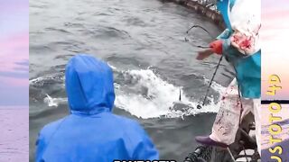 Budidaya Tuna Sirip Biru Premium di Laut Lepas, Ikan Termahal di Dunia versi plustoto4d