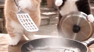 cute cat 85