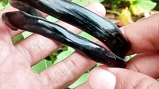 Gelang kayu akar Bahar