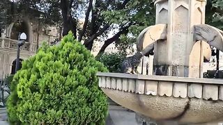 Poor THIRSTY Cat drinks water from a park fountain.