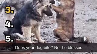 Try Not To Laugh #4