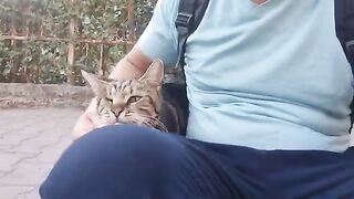 Blind in One Eye, ENDLESS LOVE: The Street Cat Who WON'T LEAVE MY LAP.