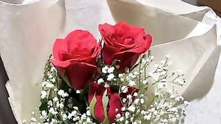 Video for febspot 27