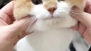 squishy