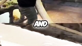 ​Managing a Feisty Snake Like a Pro