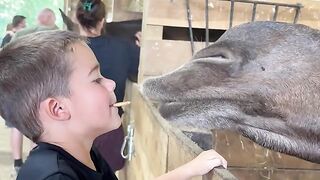 You Won't Believe This! 🤯 #babyanimalsfunny