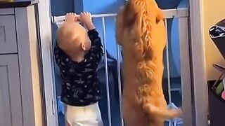 The Funniest Baby & Puppy Moments You'll EVER See! 🐶👶😭