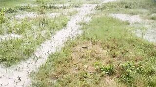 Heavy Rain Pouring Over Fields and Farmland