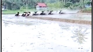 05 Video lucu bikin sakit perut, diulang ulang tetep ngakngak 😁😁😁