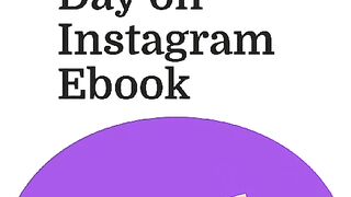 Instagram Followers a 100 Day Ebook