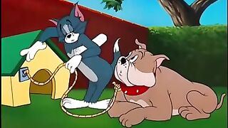Tom and Jerry show 😻❤️😻❤️😻❤️❤️