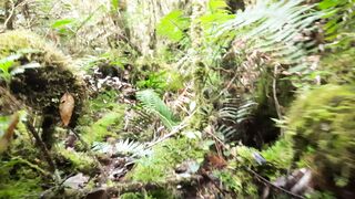Condition of the Mount Patah Hiking Trail