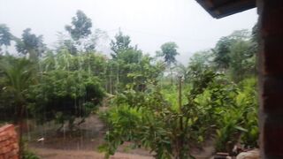 Rainday