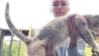 You Won’t Last 30 Seconds Without Laughing at These Pets! 🐶😹