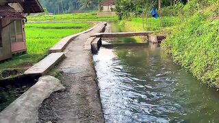 Peaceful Village Life 🌿 A Hidden Paradise in Indonesia 🇮🇩