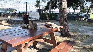 Meet the sweetest creatures in the world.