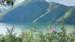 Beautiful Mountain Lake 🌿🏔️ | Peaceful Nature Scenery with Colorful Flowers
