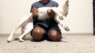 This IMPOSSIBLE Dog Trick Got 10,000,000 Views! 🐶😱