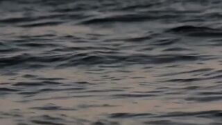 The Fish That Leaves the Sea #shorts