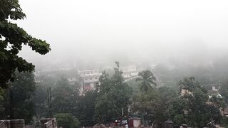 Brouillard