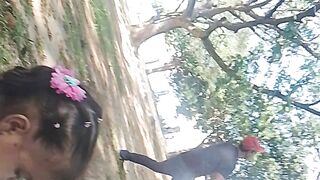 Día de parque