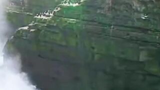 Penguin Mom’s Daring Cliffside Rescue