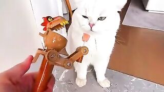 You Won't Believe This! 🤯 #catfailsfunny 3