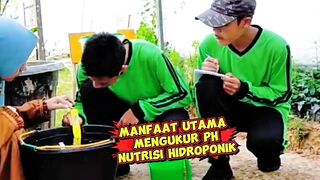 Mengukur pH nutrisi