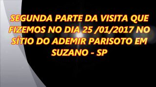 590 ) - SEGUNDA PARTE VISITA AO SITIO DE ADEMIR PARISOTO EM SUZANO