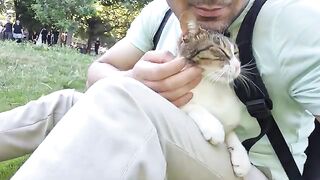 She Thinks she owns Me! The stray cat Who Demands All My Attention.