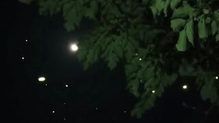 Kunang-Kunang