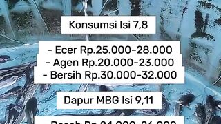 Updated Prices for Catfish for Consumption in the Aceh Area as of October 29, 2026