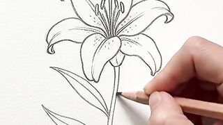 Beautiful Flower Drawing & Painting 🌸✨ | Satisfying ASMR Art 13