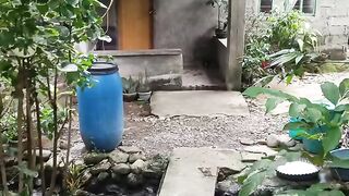 Sederhana 2