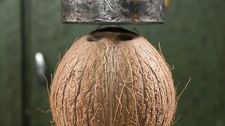 Press vs Coconut 🥥💥