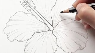 Beautiful Flower Drawing & Painting 🌸✨ | Satisfying ASMR Art 19