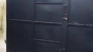 Gate wall