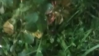 Video 751