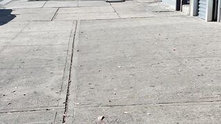 Brooklyn in the afternoon