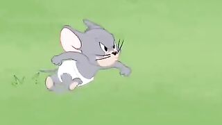 Tom and Jerry Cartoon 6